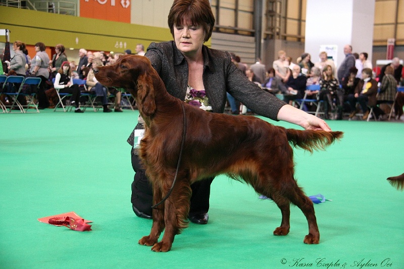 Crufts2011 152.jpg